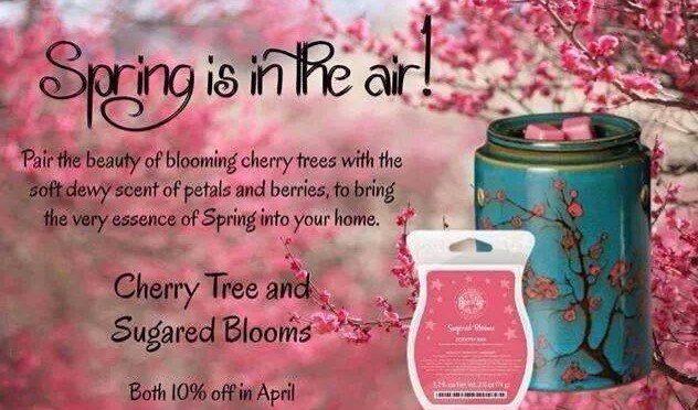 Spring Is In The Air – Save 10% On Featured Scentsy Products
